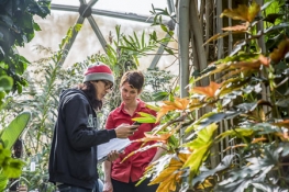 Two student studying plants in the greenhouse